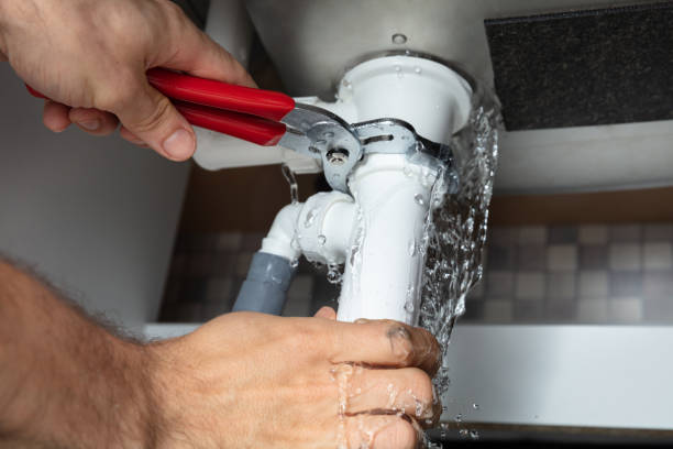 Best Professional water damage repair  in Ridge Wood Heights, FL