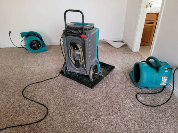 Best Water damage cleanup near me  in Ridge Wood Heights, FL