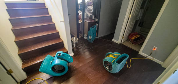24/7 water damage repair in Ridge Wood Heights, FL