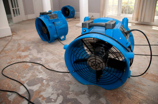 Best Basement water damage restoration  in Ridge Wood Heights, FL