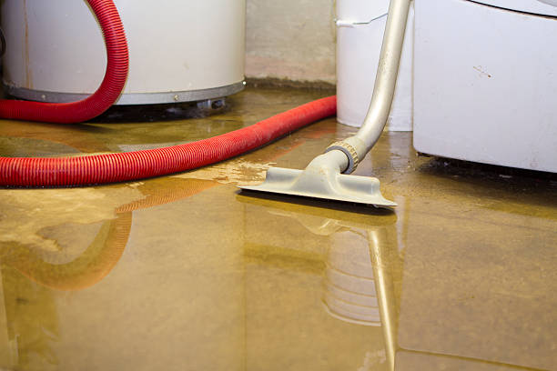 Best Water damage contractors near me  in Ridge Wood Heights, FL