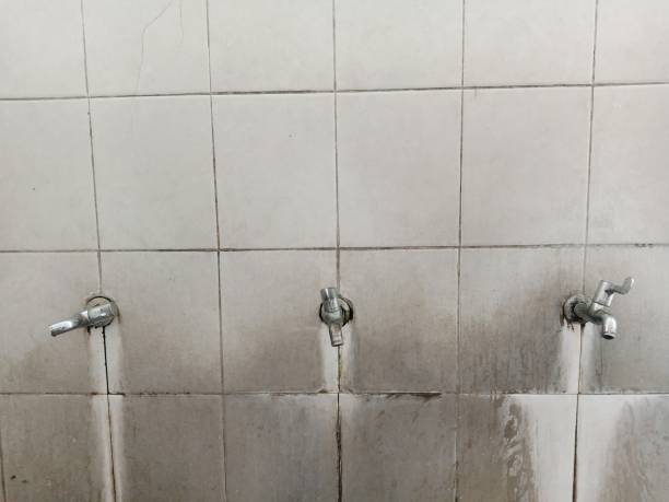Best Water damage restoration near me  in Ridge Wood Heights, FL