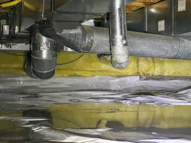  Ridge Wood Heights, FL Water damage restoration Pros