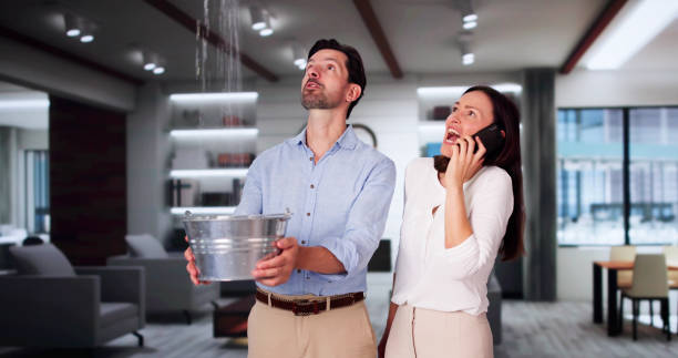 Best Sewage cleanup and water damage restoration  in Ridge Wood Heights, FL